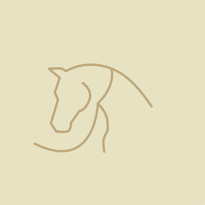 pferd Longieren Bodenarbeiten icon